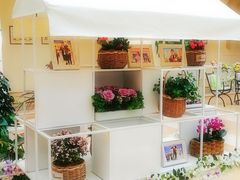 -利顺德大饭店·维多利亚花园(小白楼店)