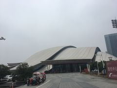 -合肥大剧院