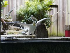 -河川生态园