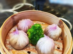 -金汇酒楼(中山东区店)