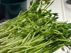 -椰子湾·海南火锅·糟粕醋·椰子鸡(正大广场店)