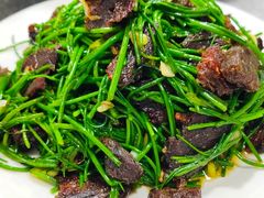 -巴音陶日故德烩菜馆(体育场店)