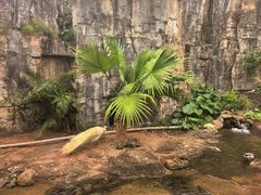 -海南热带野生动植物园