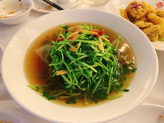 松茸菌豆苗-丰收日·小海鲜·沪上家宴(顾村正大店)
