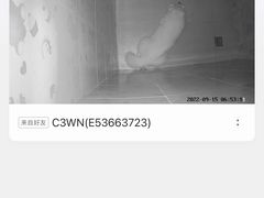 -宠物之家Pets Home 宠物寄养酒店