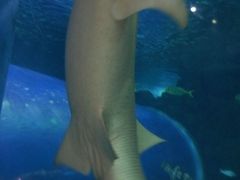 -常州海昌海洋探索馆