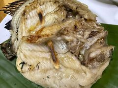 -杨合林啊兰烤鱼