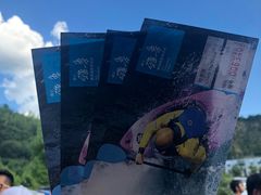 -雅鲁激流探险漂流