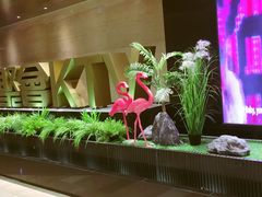 -星聚会KTV(景枫中心店)