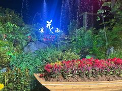 -花溪雨·森林餐厅(石基店)