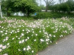 -苏州上方山国家森林公园