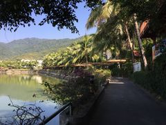 069-三亚亚龙湾凯莱仙人掌度假酒店