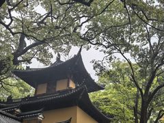 -普陀山风景名胜区-法雨禅寺