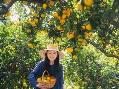 -滨江森林公园-真人CS野战场