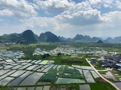 -会仙湿地