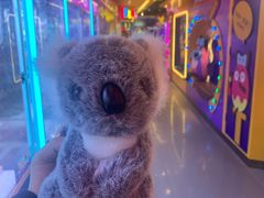 -爱玩嘉年华(江北一店)