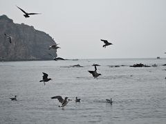 -棒棰岛宾馆景区