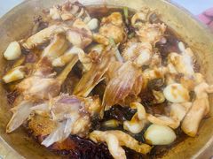 -源港渔村-中山脆肉鲩(博罗店)