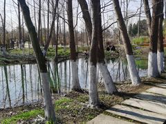 -桤木河湿地公园