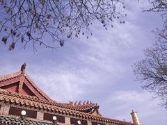 -大召无量寺
