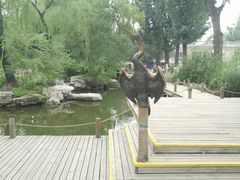 景点-北京动物园