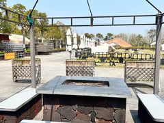 -春花秋色城市公园