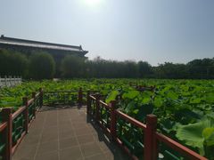 -大明幻境第一城