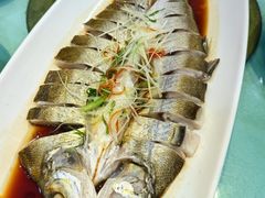 大白鱼-九头鸟酒家(东高地店)