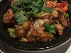 生喱牛蛙煲-粤秀小厨·广式早茶(辽宁路店)