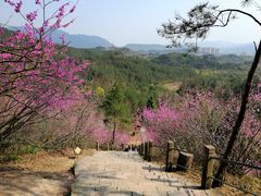 -天台山赤城山景区