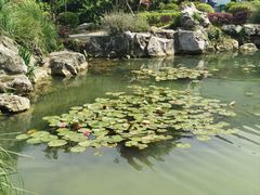 -苏州味道(阳澄湖服务区店)