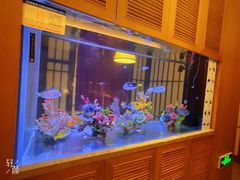 -水之惠鲜鱼料理(王府大街店)