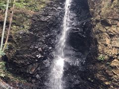 -大余丫山旅游度假区