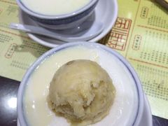 热双皮奶&榴莲双皮奶-民信老铺(人民路店)