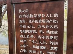 -桃花堤公园