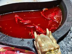 -蜀大侠火锅(森兰花园城店)