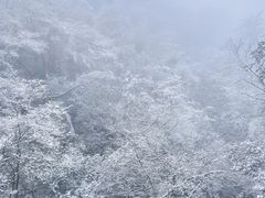 -黄山屯溪国际机场