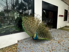 -J Create城市露营咖啡·简餐·宠物(上海动物园店)