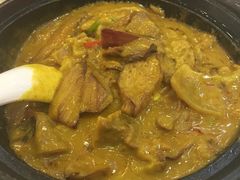 咖喱牛腩-粤西稻里(富力路店)