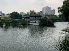 -荔湾湖公园