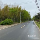地理位置： 宜兴  约着去朋友家挖笋