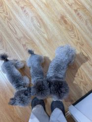 -一个差评成就的纹眉店
