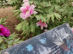 -北京市劳动人民文化宫(太庙)