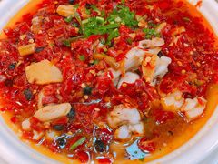 -台北楚楚园馅饼粥(虹桥南丰城店)