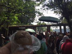 -金盆阿嬷香菇茶叶蛋(玄光店)