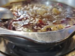 -金鼎雪山牦牛杂火锅(理县总店)