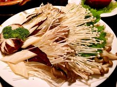 -锦官会
