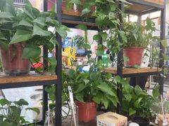 -成都屋头串串香(八府庄店)