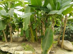 -南通洲际绿博园