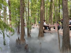 -东湖落雁景区